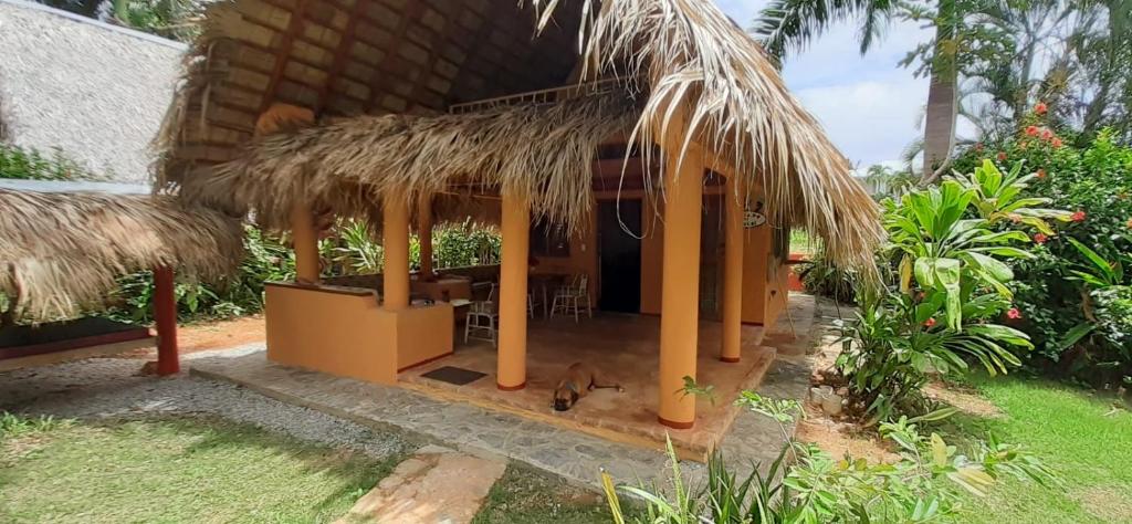 una piccola capanna con tetto di paglia di Casa 3 amigos-Palm roofed house a Las Galeras