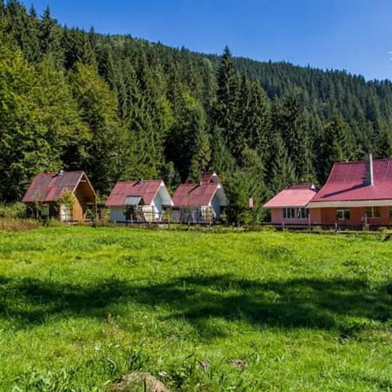 un gruppo di case in un campo alberato di Cabana Valea Stanciului a Răchiţele