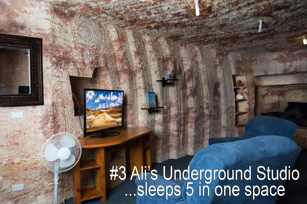a living room with a couch and a tv on a wall at Ali's Underground Studio in Coober Pedy