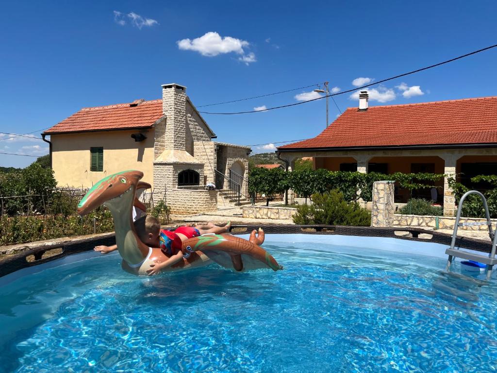 Ein kleiner Junge, der einen Delfin im Pool reitet. in der Unterkunft Runaway Cottage in Unešić