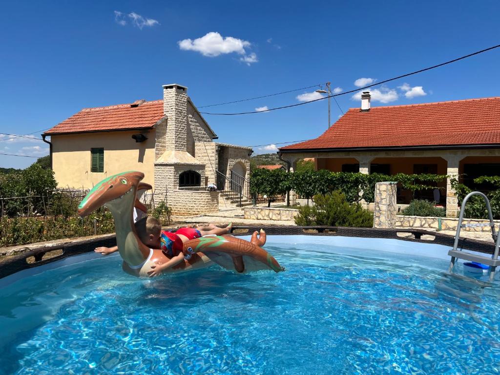 a young boy riding a dolphin in a swimming pool at Runaway Cottage in Unešić