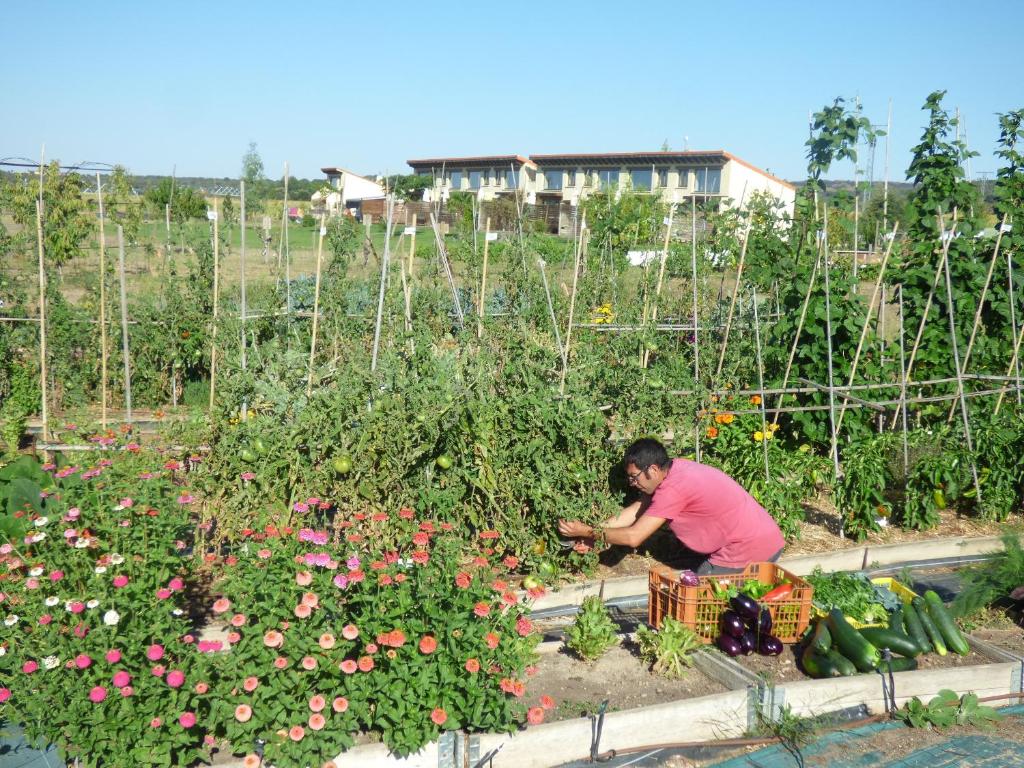 Zahrada ubytování Hotel Albergue Bioclimático Sabinares del Arlanza