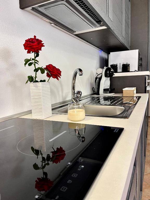 a kitchen with a sink and red flowers on a counter at Cá d'la trifola parcheggio gratuito in Alba
