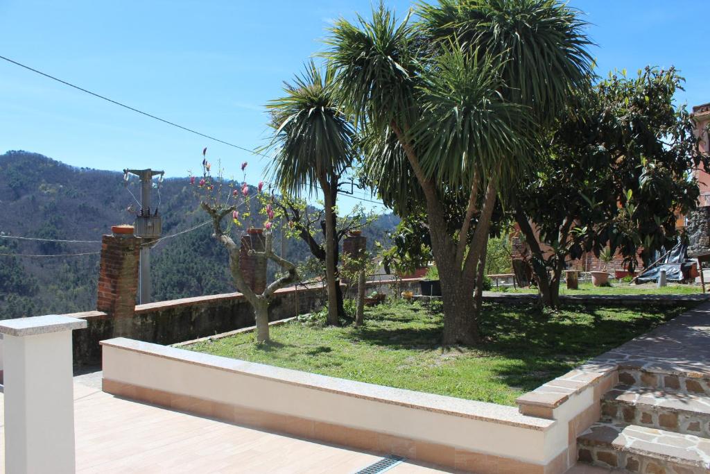 Blick auf einen Garten mit Palmen in der Unterkunft appartamento in piccolo borgo immerso nel verde in Castiglione Chiavarese