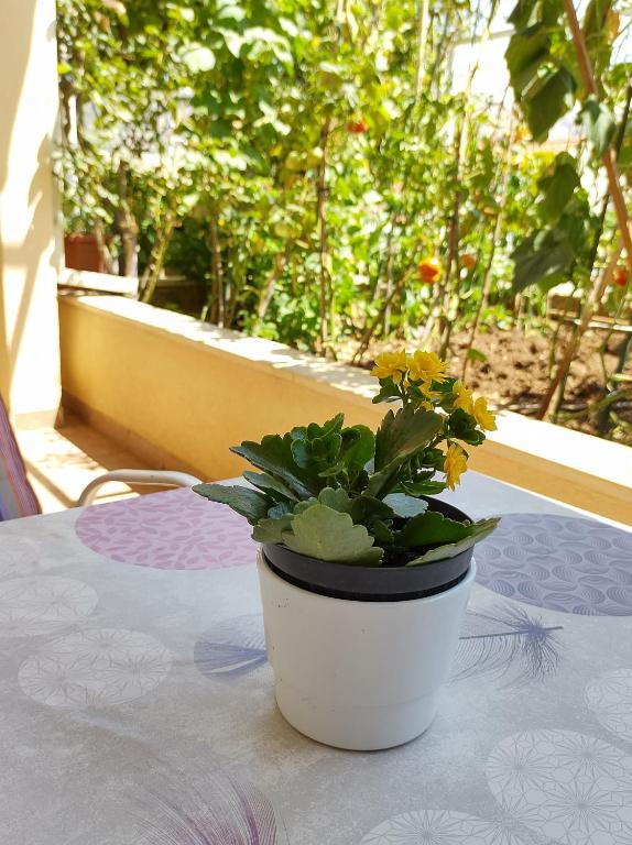 Vonkajšia záhrada v ubytovaní Guesthouse Anna