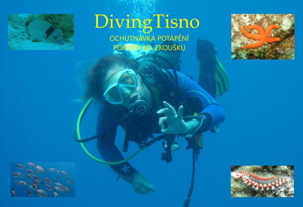 Hosté ubytování Diving Tisno