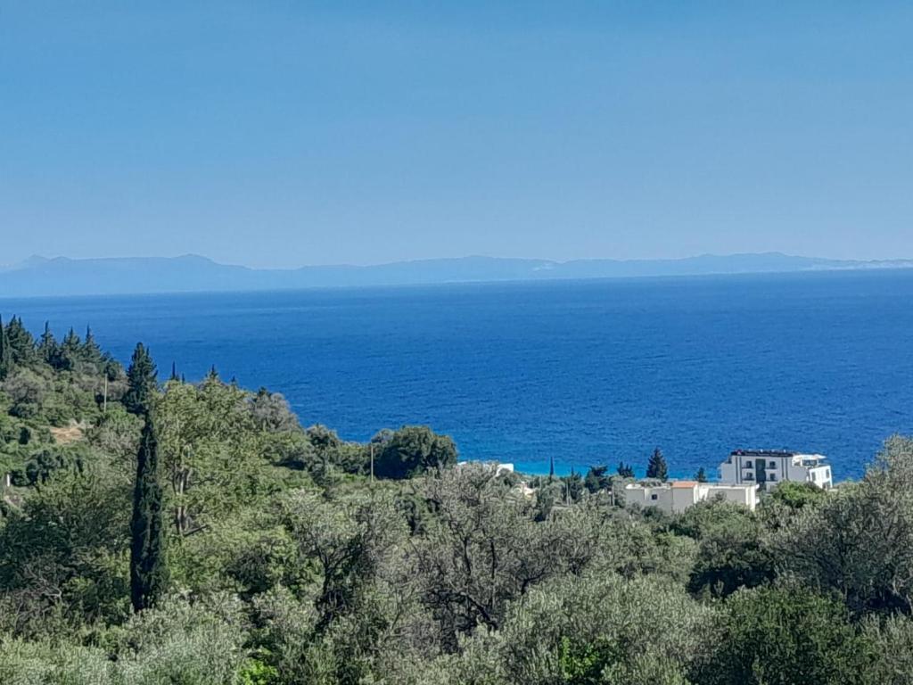 a view of the ocean from a hill with trees at Vila zaho in Dhërmi