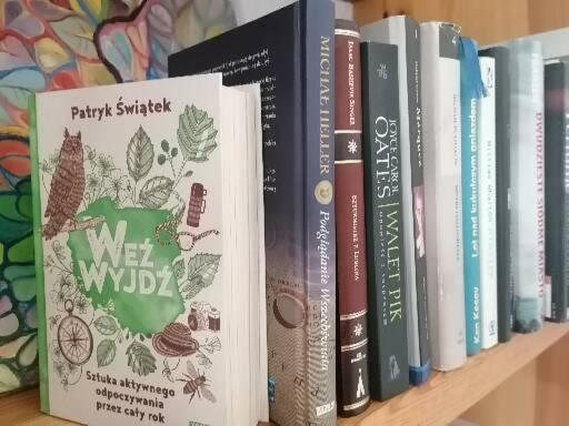 una fila de libros sentados en un estante en Wyciszek - mazurska agroturystyka, en Węgorzewo