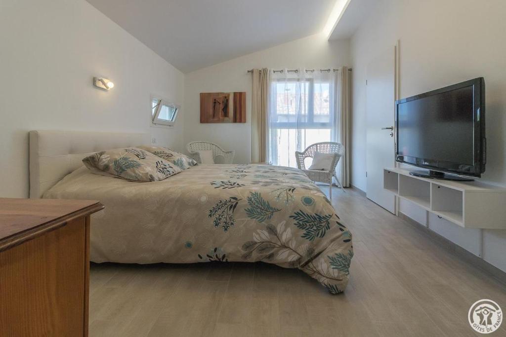 COSY LODGE TOULOUSE - 8