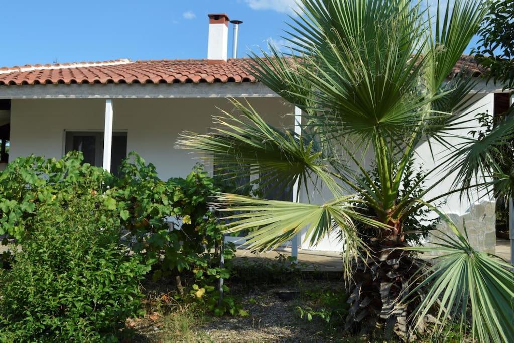 a house with palm trees in front of it at Litochoro apartment in Estate A1 in Litochoro