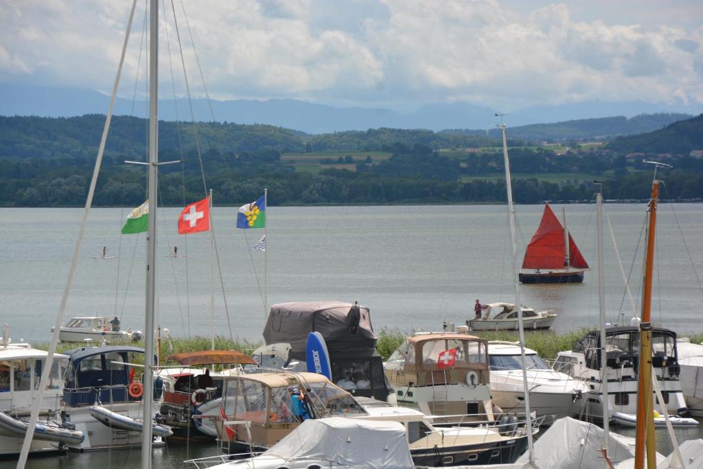 un tas de bateaux garés dans un port de plaisance avec drapeaux dans l'établissement Leben im Hafen am idyllischen Murtensee, à Guévaux