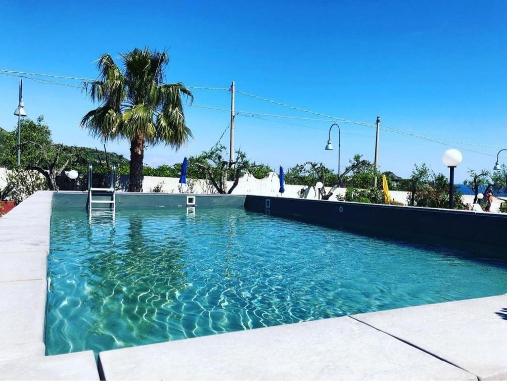 a swimming pool with blue water and a palm tree at Hotel Villa Bernardina in Ischia