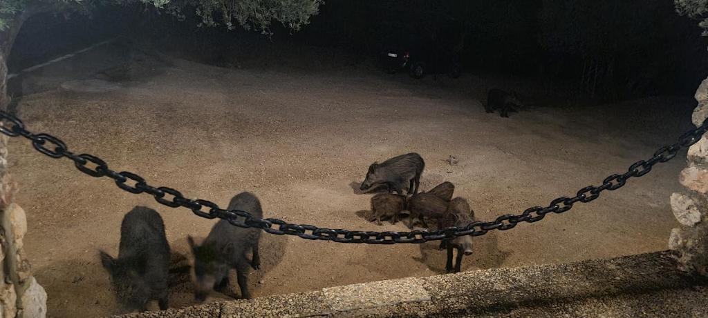 Fotografie z fotogalerie ubytování Alojamiento Turístico El Pantano de Cazorla v destinaci Coto Rios