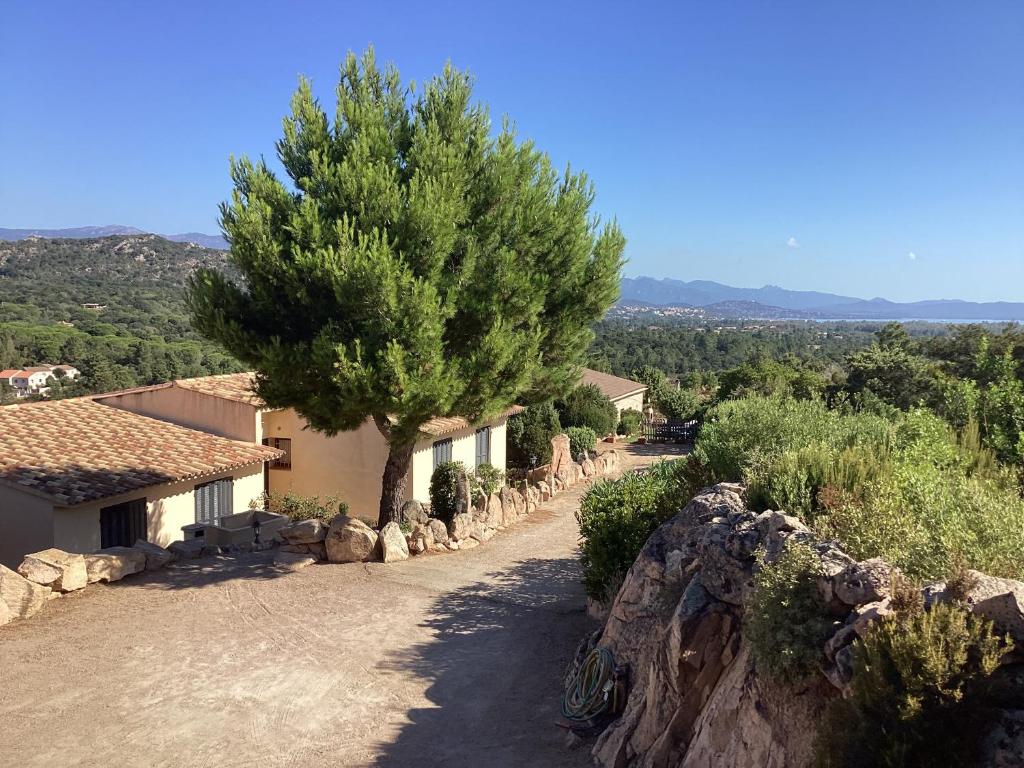 a tree in front of a house with a driveway at Fiori Di Santa Giulia in Porto-Vecchio