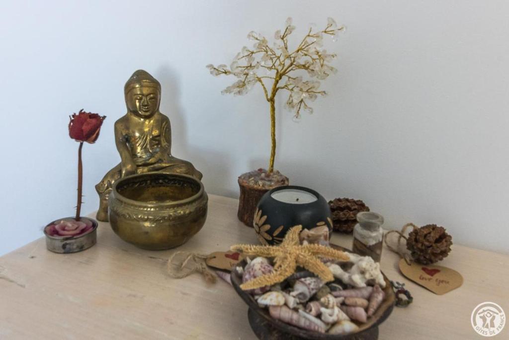 COSY LODGE TOULOUSE - 11