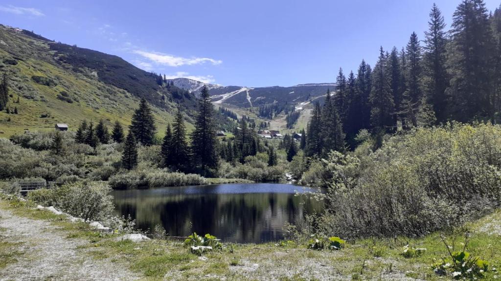 Příroda nedaleko apartmánu