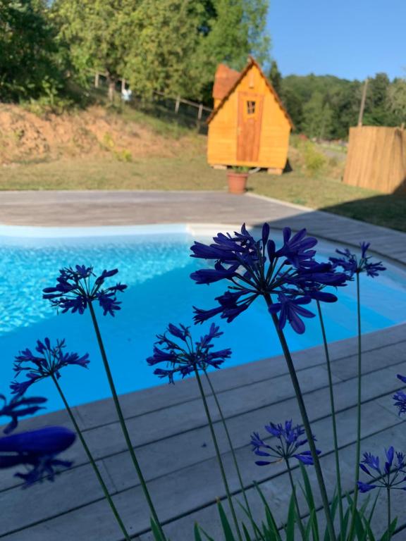 a bird house next to a pool with purple flowers at Insolite avec piscine Au Bonheur Comtois in Ronchamp