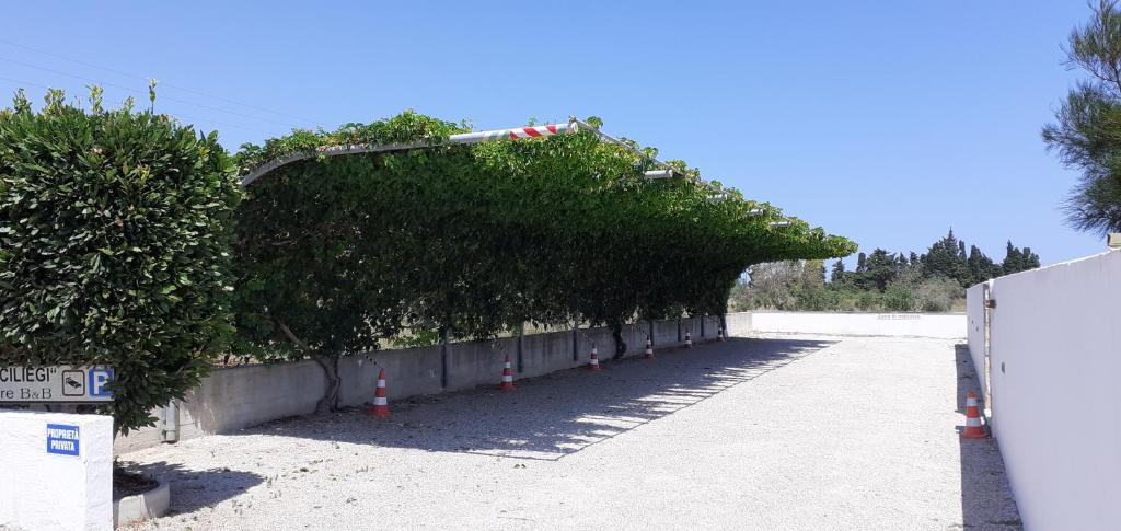 Fotografie z fotogalerie ubytování I Tre Ciliegi v destinaci Otranto