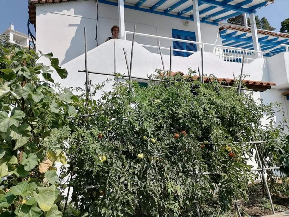 a man standing on the balcony of a house at Alexandra's Studios in Kechria
