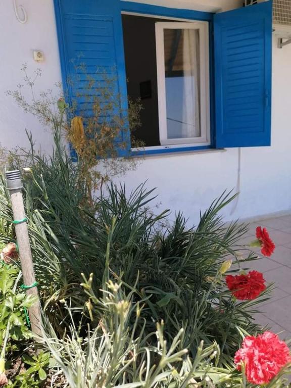 a house with a blue window and some flowers at Alexandra's Studios in Kechria