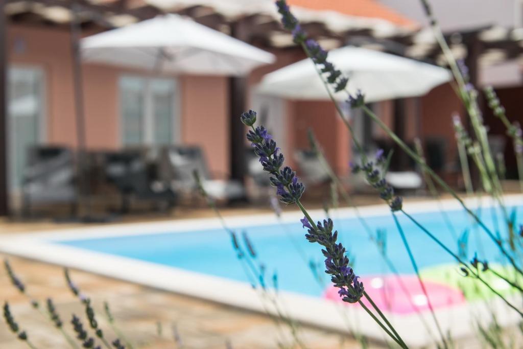 Bazén v ubytovaní Villa Magdalena, Biograd na Moru alebo v jeho blízkosti