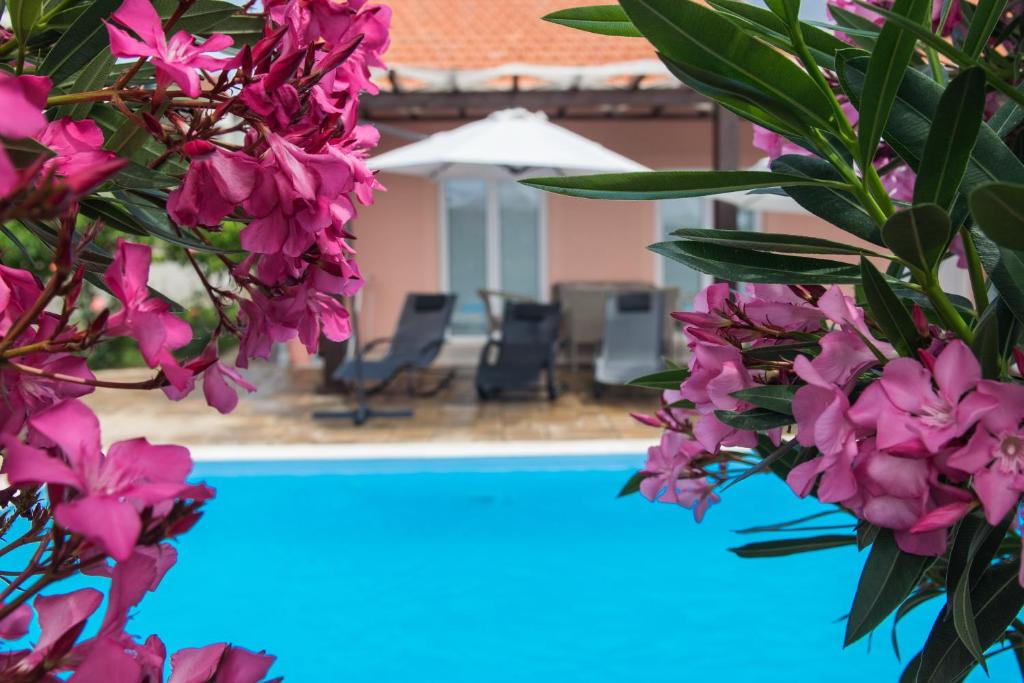 Bazén v ubytovaní Villa Magdalena, Biograd na Moru alebo v jeho blízkosti