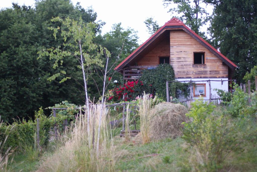 une cabane en bois au milieu d'un champ dans l'établissement Holiday Home Trnavsko, à Bogojina