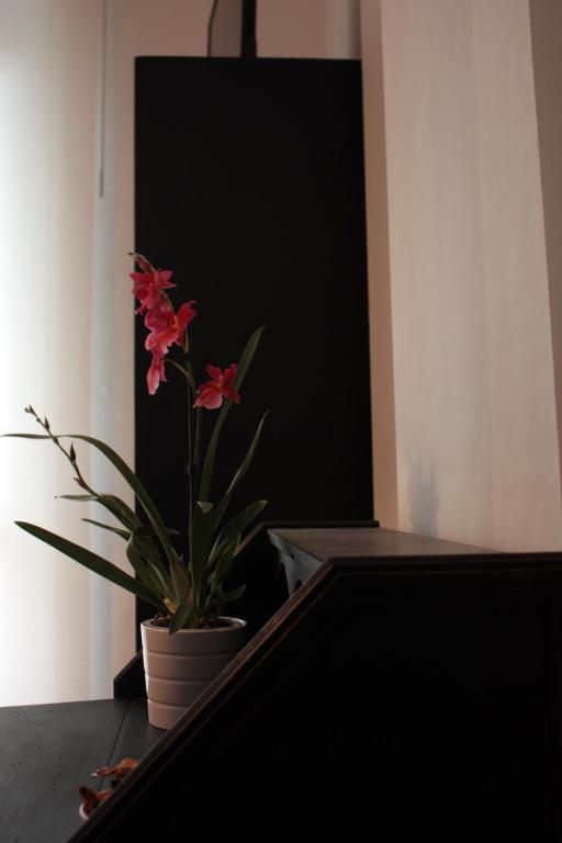 Affittacamere Parco dei Canapè - 11