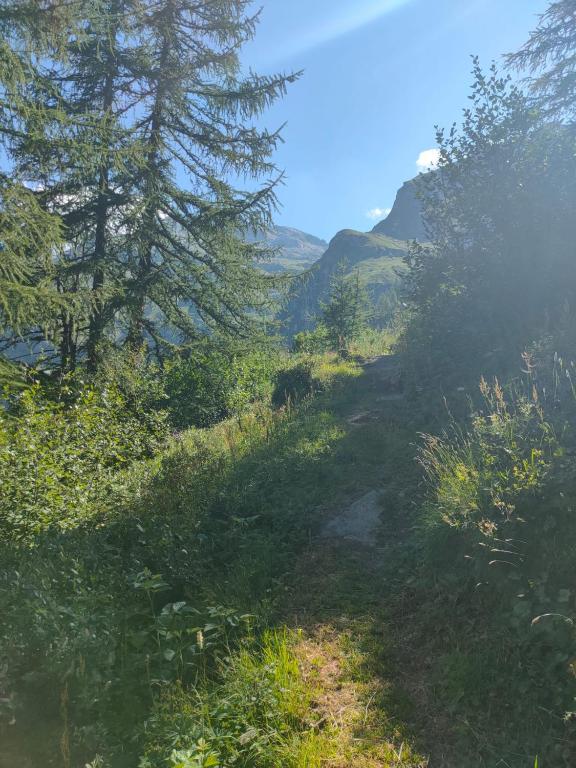 Zdjęcie z galerii obiektu Trilocale partenza seggiovia Jolanda Trinité - CIR n 0009 w mieście Gressoney-la-Trinité