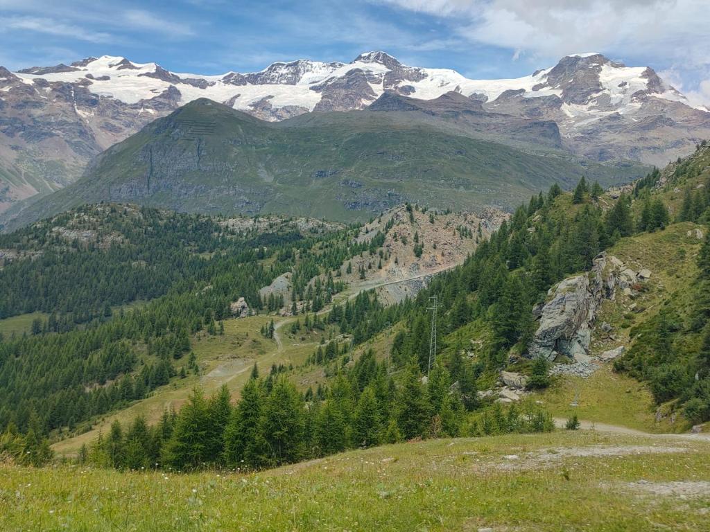 Zdjęcie z galerii obiektu Trilocale partenza seggiovia Jolanda Trinité - CIR n 0009 w mieście Gressoney-la-Trinité