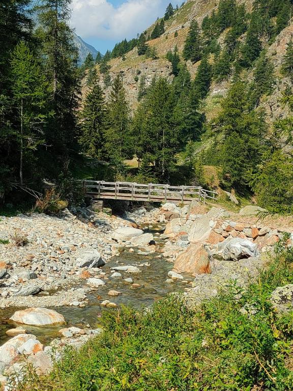 Zdjęcie z galerii obiektu Trilocale partenza seggiovia Jolanda Trinité - CIR n 0009 w mieście Gressoney-la-Trinité
