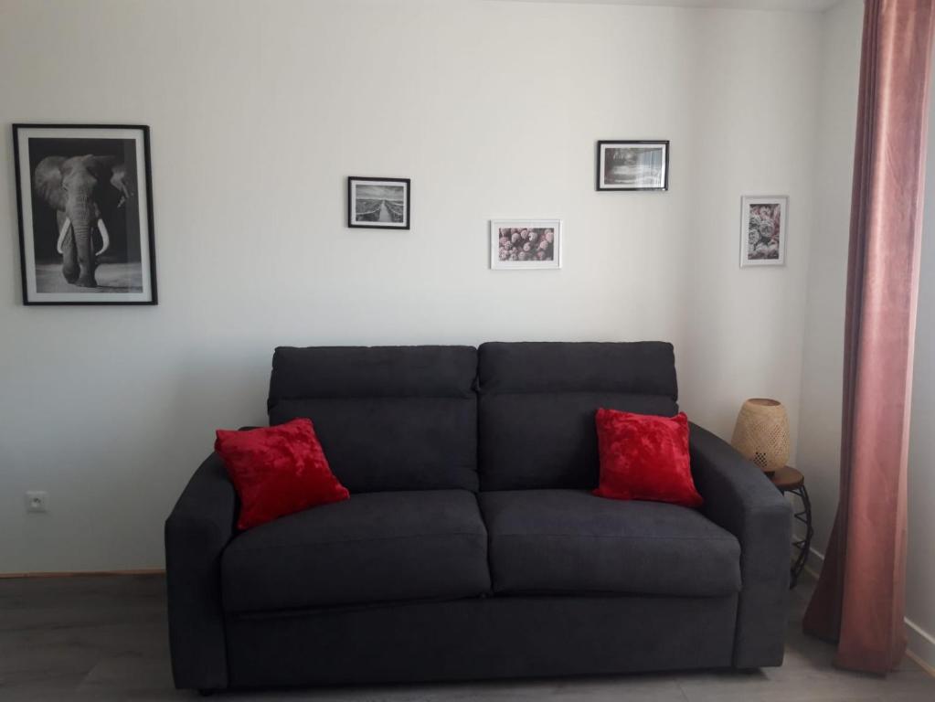 a black couch with red pillows in a living room at Gambetta Insolite in Chambéry