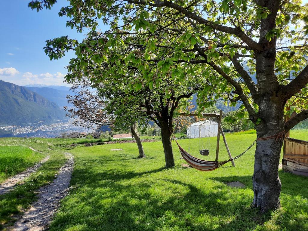 uma rede pendurada numa árvore num campo em Haflingerhof em San Genesio Atesino