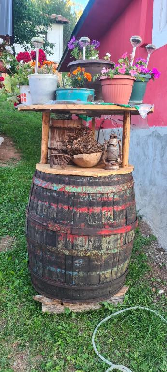 Gambar di galeri bagi Vila Medo di Brdo
