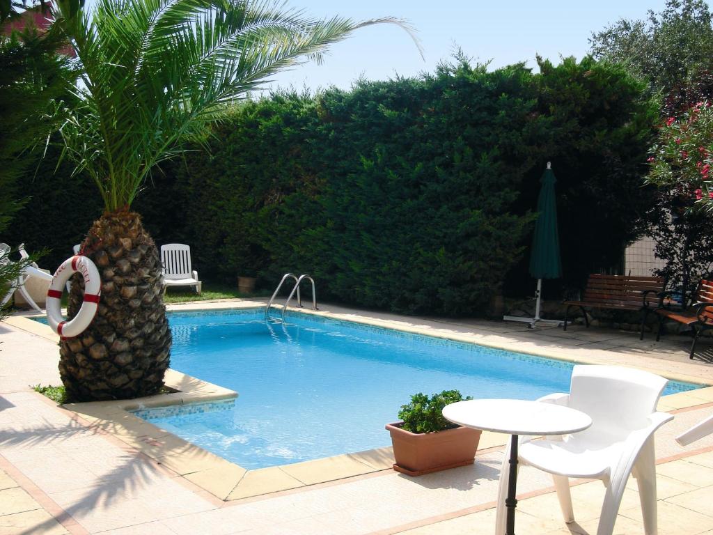 a swimming pool with a palm tree next to a table at Adonis Arc Hotel Aix in Aix-en-Provence