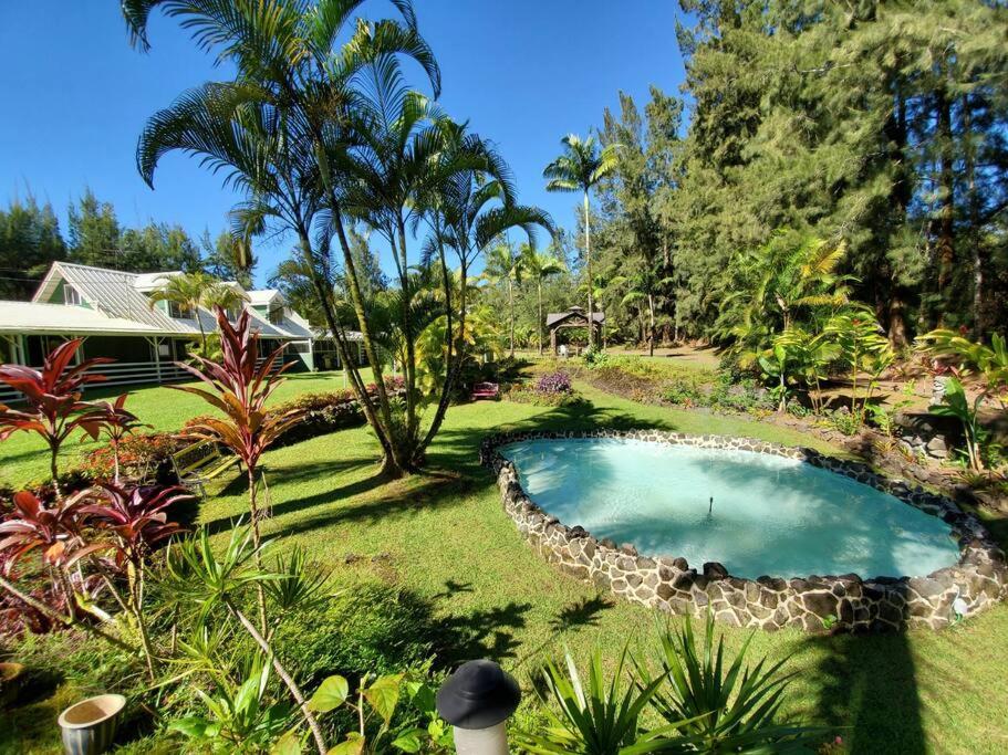 Fern Acres Bed and Breakfast, Mountain View (precios actualizados 2024)