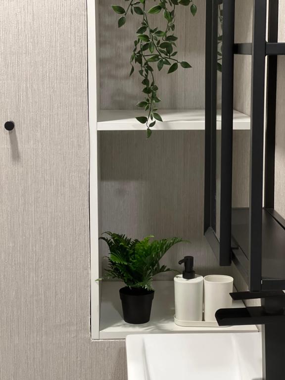 un lavabo con una planta en un estante en Oktheway Ultreia, en Sarria