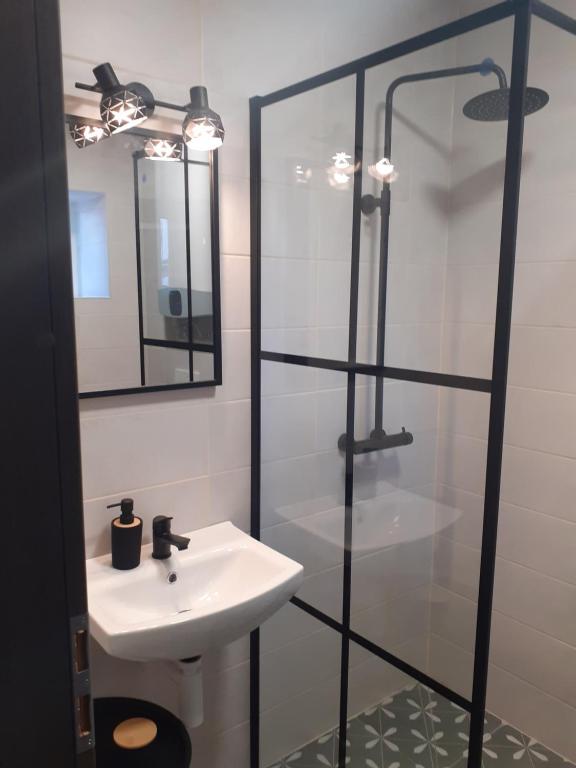 a bathroom with a sink and a glass shower at Apartmány Oxota in Jaroměř