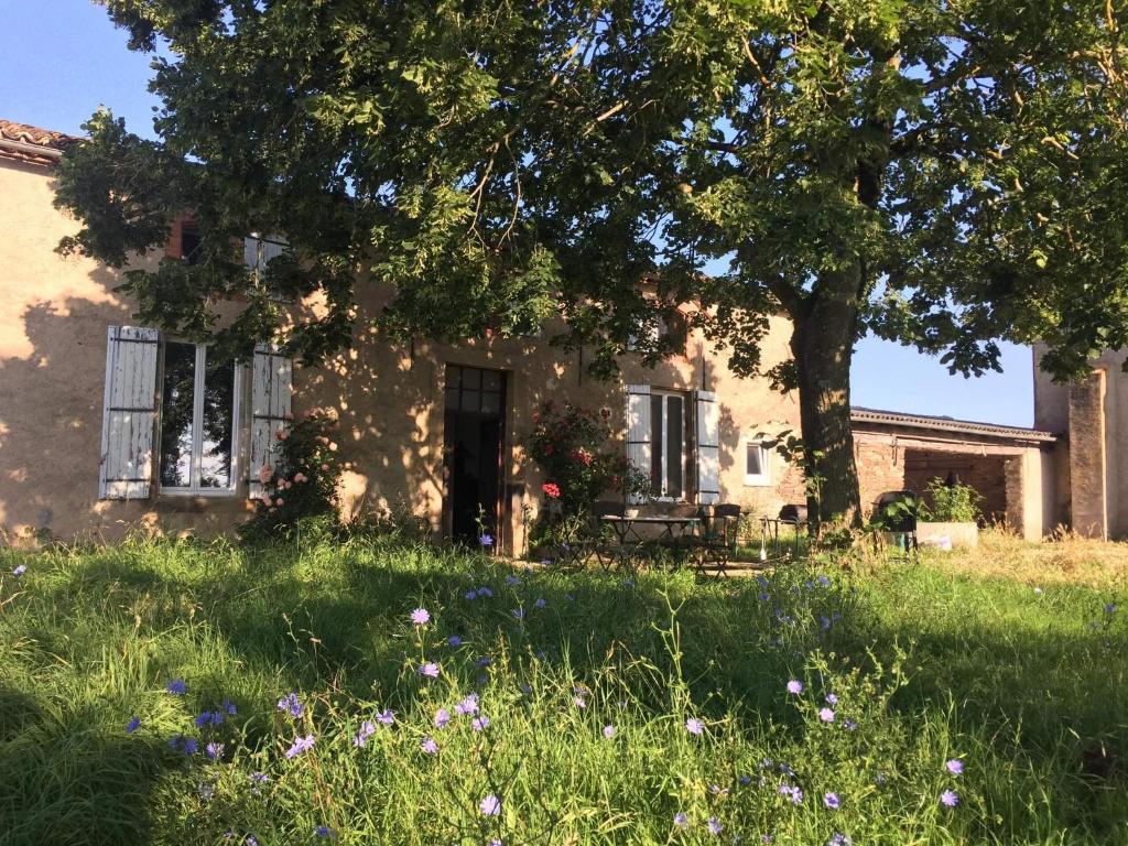 a house with a field of grass and flowers at Chambres d'hôtes Les Pieds dans l'herbe in Saint-Julien-Gaulène