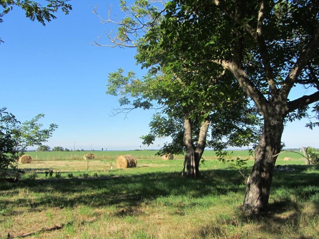 Zdjęcie z galerii obiektu Chambres d'hôtes Les Pieds dans l'herbe w mieście Saint-Julien-Gaulène