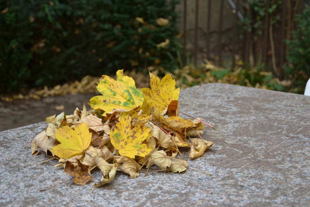 INSIDE FIVE - City Apartments - Resim 33