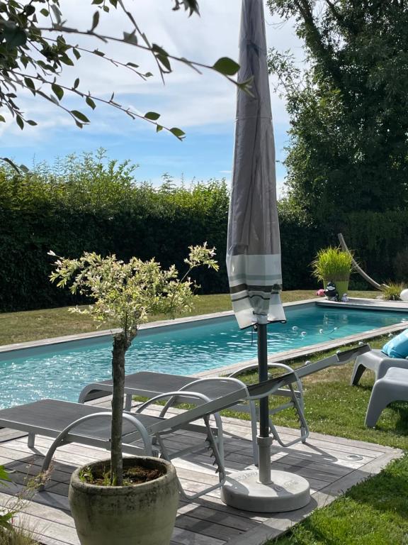 Bazén v ubytování B&B Le calme sur les hauteurs de Spa nebo v jeho okolí