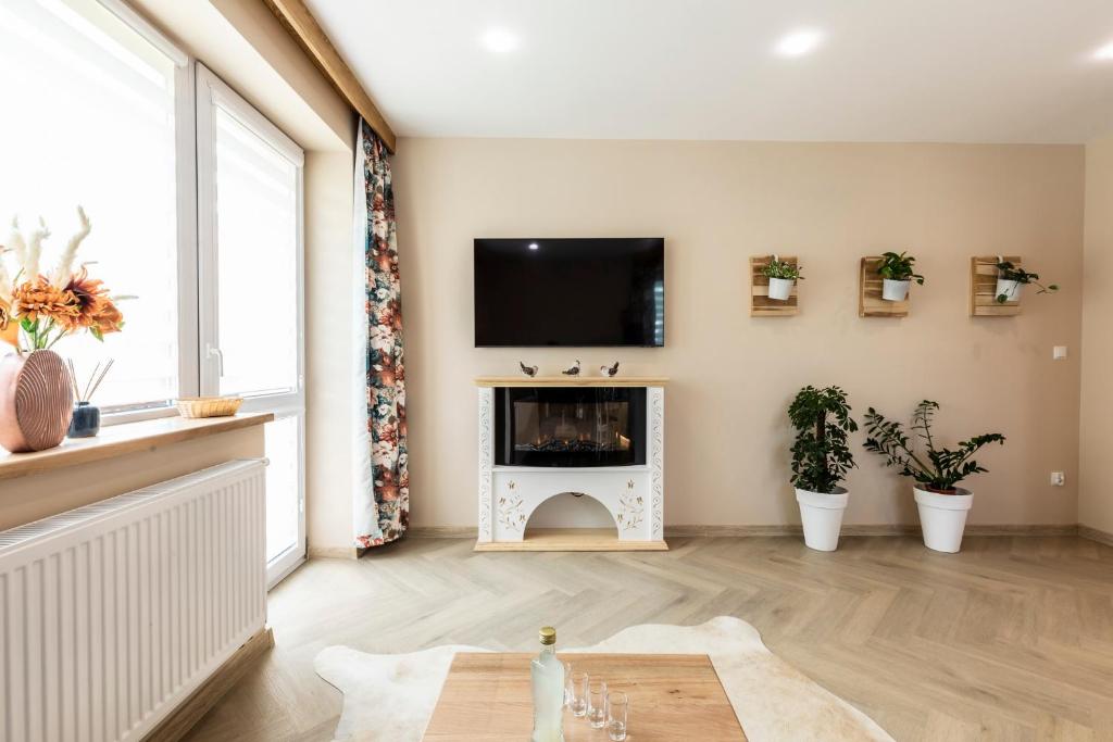 Televízia a/alebo spoločenská miestnosť v ubytovaní Bunia w Zakopanem z jacuzzi
