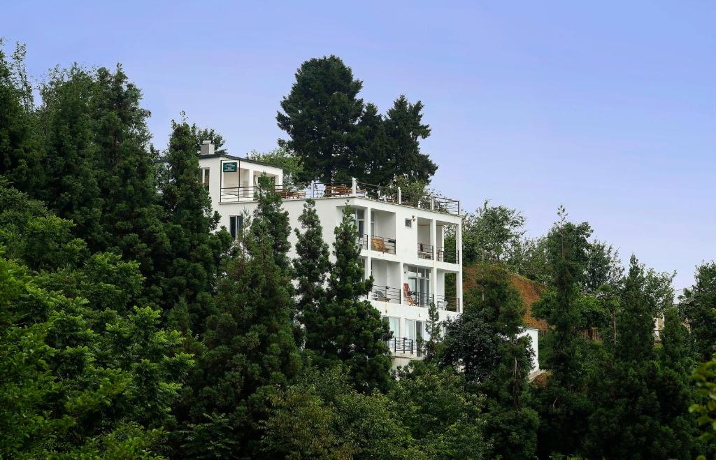 a white building in the middle of trees at Limonchelo in K'obulet'i