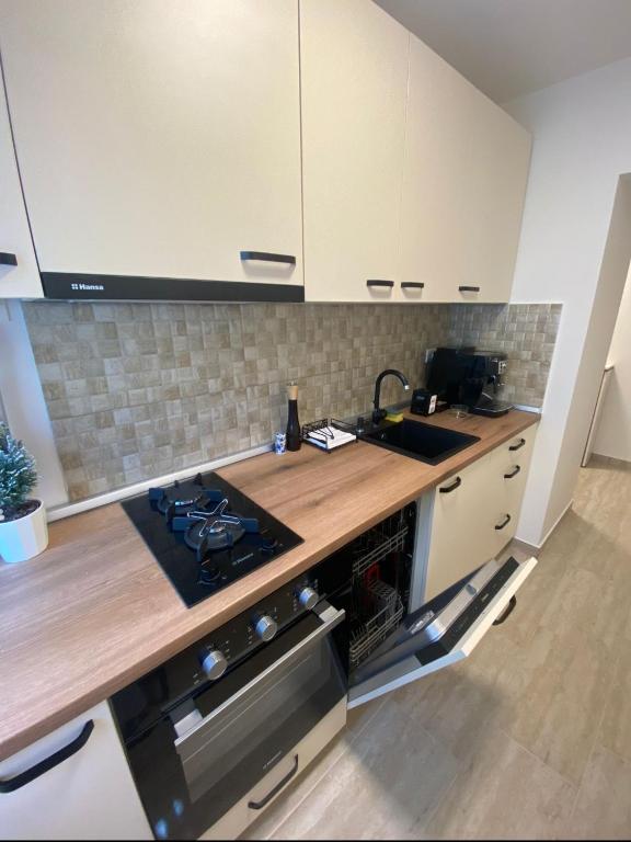 Kuchyň nebo kuchyňský kout v ubytování Apartamentul GAVIOTA