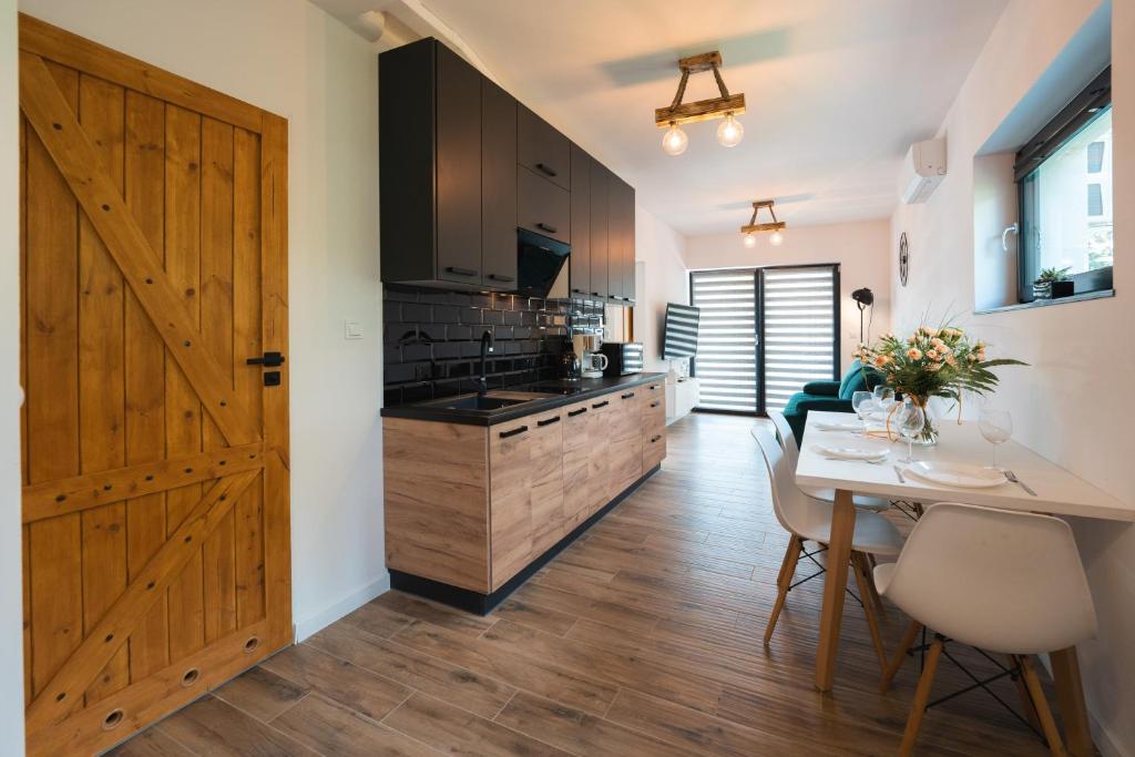 Kuchyňa alebo kuchynka v ubytovaní Apartamenty Nadrzeczna nad Wisłą Dream Apart