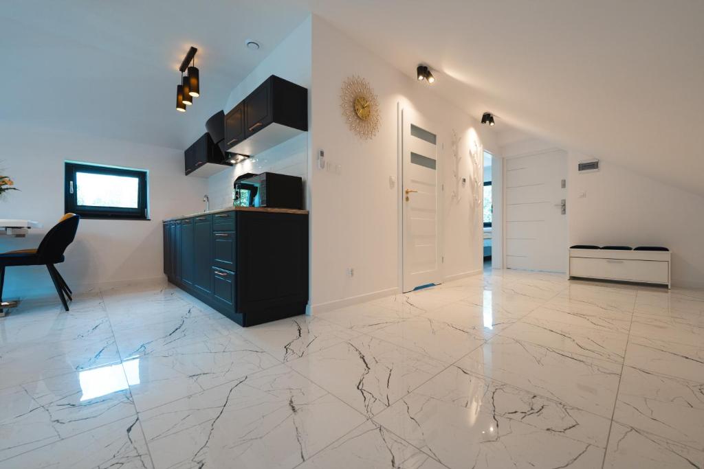 Televízia a/alebo spoločenská miestnosť v ubytovaní Apartamenty Nadrzeczna nad Wisłą Dream Apart