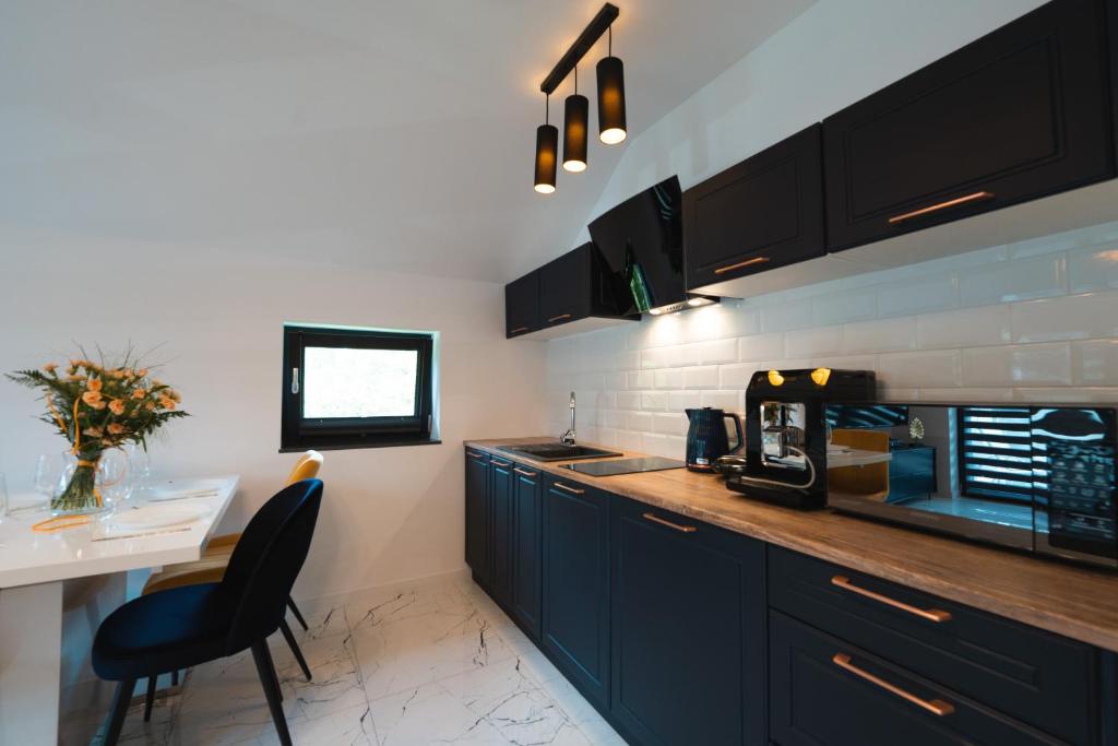 Kuchyňa alebo kuchynka v ubytovaní Apartamenty Nadrzeczna nad Wisłą Dream Apart