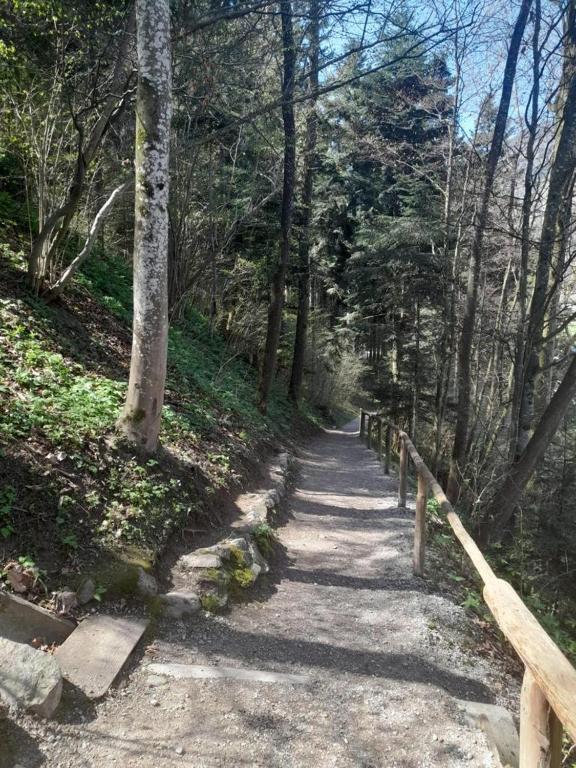 Příroda nedaleko apartmánu