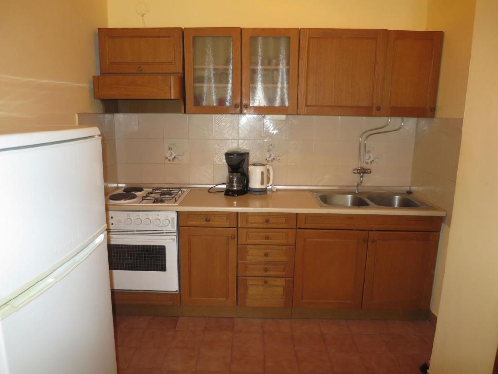 Kuchyňa alebo kuchynka v ubytovaní Apartment Katić-2 by Interhome